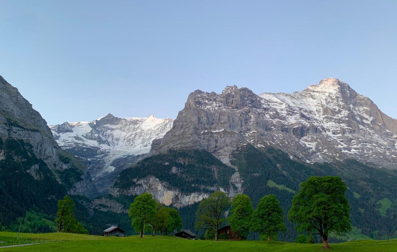 Eiger, Jungfrau, Luxury Garden Apartment グリンデルヴァルト エクステリア 写真